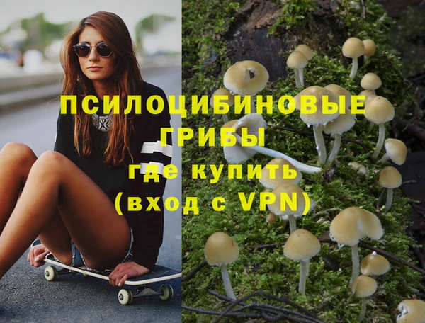 не бодяженный Михайловск
