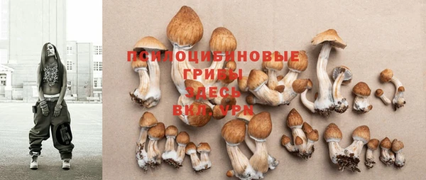 не бодяженный Михайловск