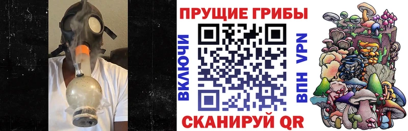 Галлюциногенные грибы GOLDEN TEACHER  где купить наркоту  Тайга 